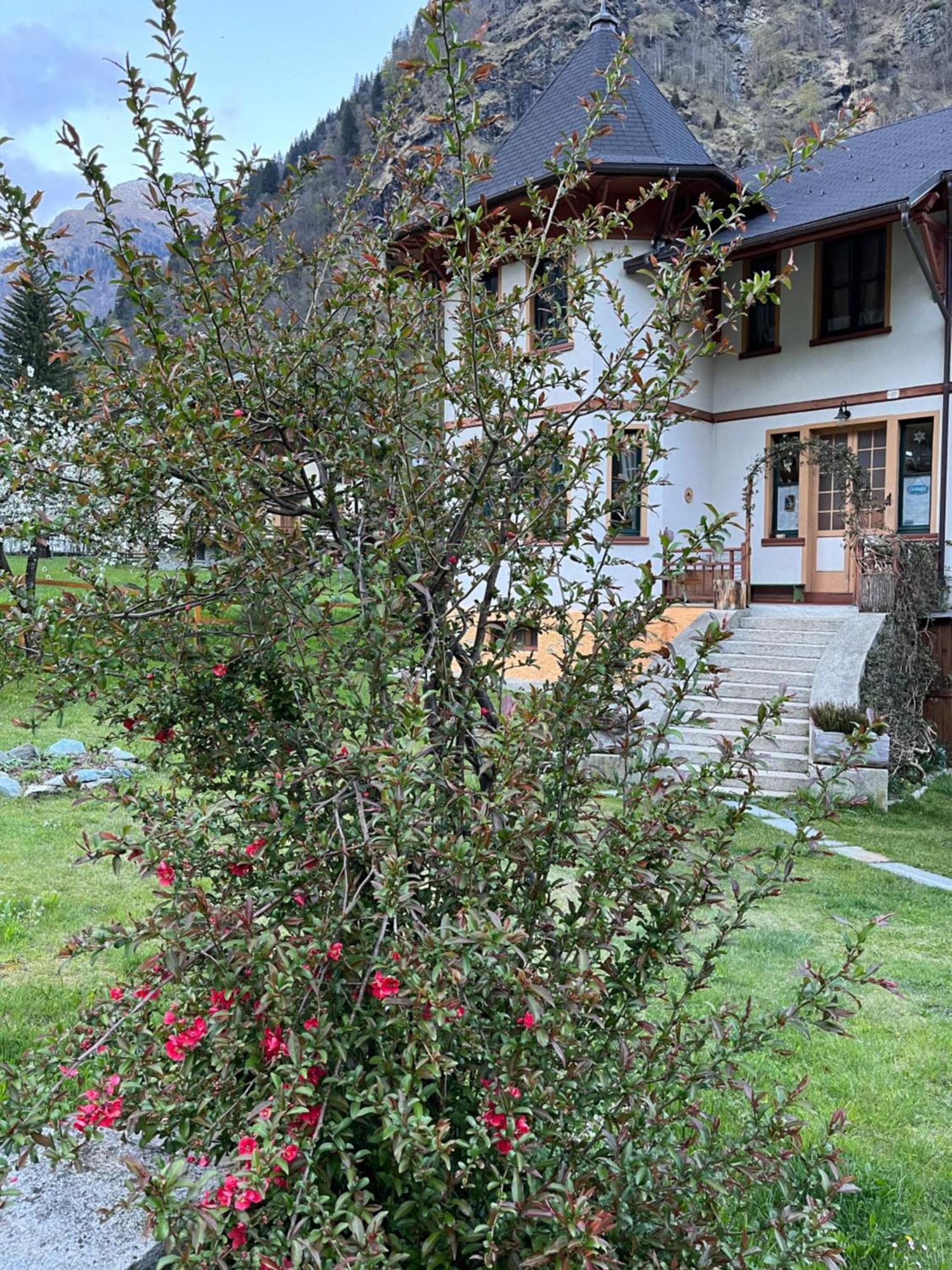 L'Aria Di Casa Acomodação com café da manhã Alagna Valsesia Exterior foto
