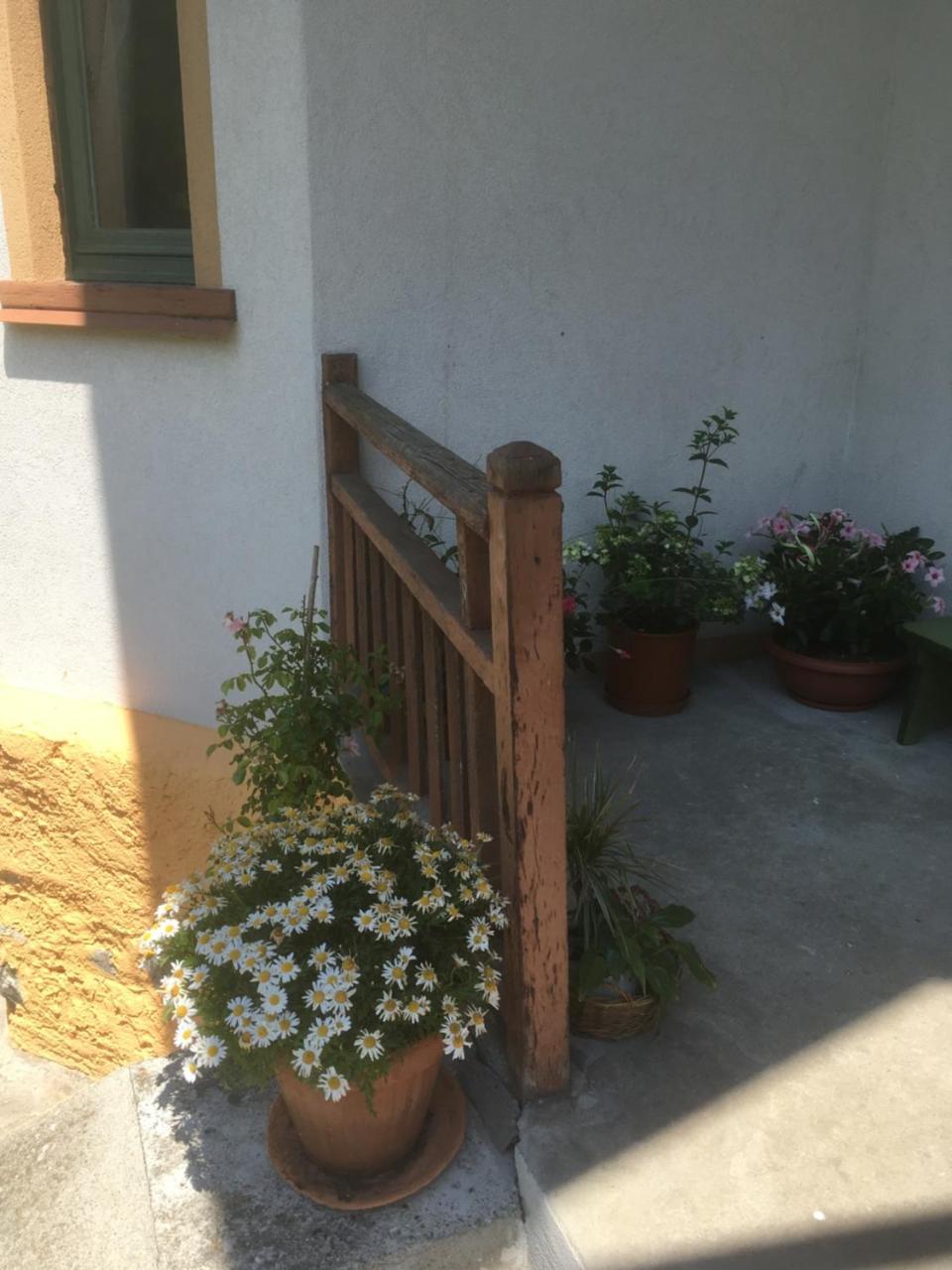 L'Aria Di Casa Acomodação com café da manhã Alagna Valsesia Exterior foto